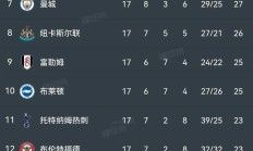开云体育官网入口-柏林赫塔客场失利，积分榜逐渐下滑的简单介绍